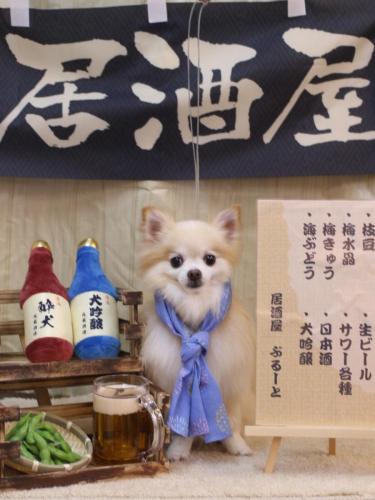 20240615小豆くん